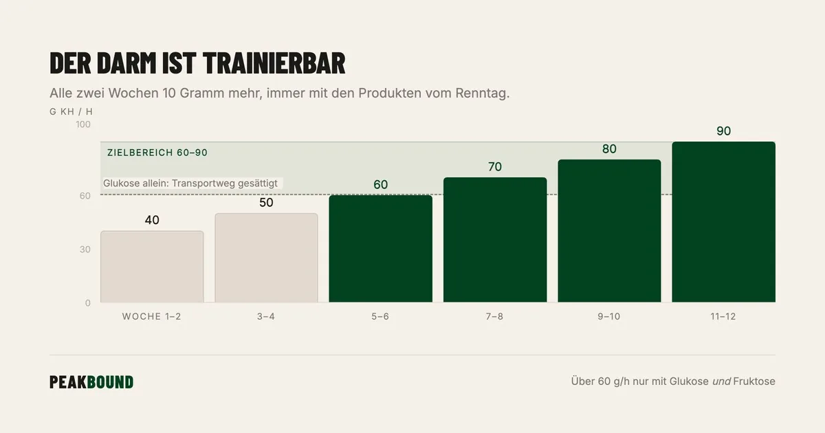 Schematische Zusammenfassung: Fueling im Ultramarathon: Der komplette Leitfaden von Gut-Training bis Renntag