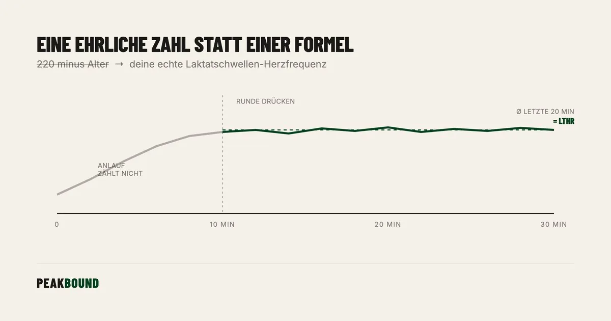 Schematische Zusammenfassung: Der 30-Minuten-Test: So findest du deine echten Herzfrequenzzonen